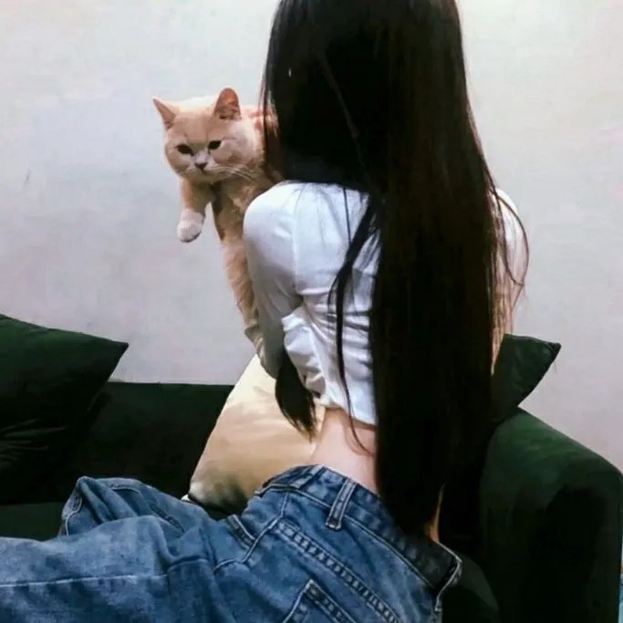 历险小恐龙